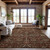 Addison Mayfield AMF1085 Paprika Rug