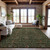 Addison Mayfield AMF1130 Emerald Rug