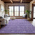 Addison Mayfield AMF1133 Plum Rug