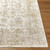 Livabliss Da Vinci DVC-2316 Rug