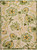 Nourison Aloha ALH17 Ivory Green Rug