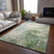 Dalyn Bresca BC2 Aloe Rug