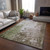 Dalyn Bresca BC3 Brown Rug