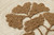 Loloi Clover & Clay CLOVE Brown Wall Art