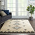 Nourison Oslo Shag OSL03 Ivory Blue Rug