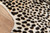 Momeni Erin Gates Acadia ACA-2 Cheetah Multi Rug