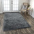 Rizzy Whistler WIS103 Rug