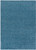 LivaBliss Deluxe Shag DXS-2325 Area Rug