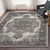 Amer Alexandria ALX-51 Earley Taupe Rug