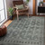 Amer Divine DIV-4 Loise Gray Rug