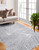 Bashian Valencia R131-AL134 Grey Rug