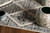 Kas Willow 1101 Charcoal Diamonds Rug