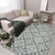 Amer Boston BOS-34 Penswick Dark Gray Rug