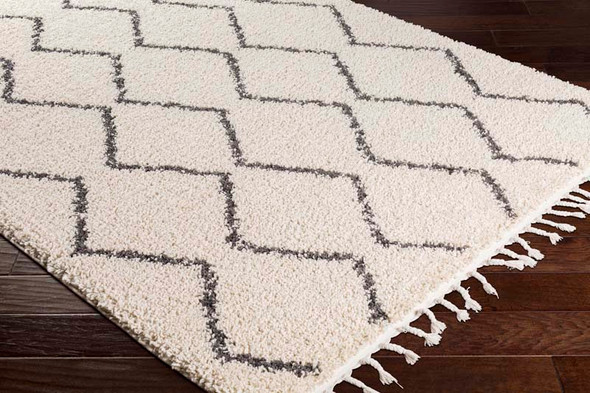 LivaBliss Berber Shag BBE-2303 Rug