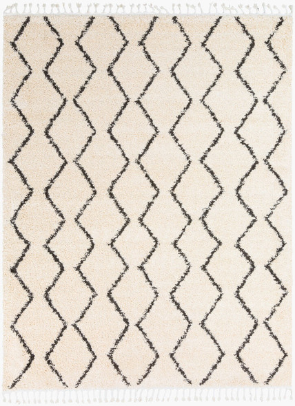 LivaBliss Berber Shag BBE-2303 Rug
