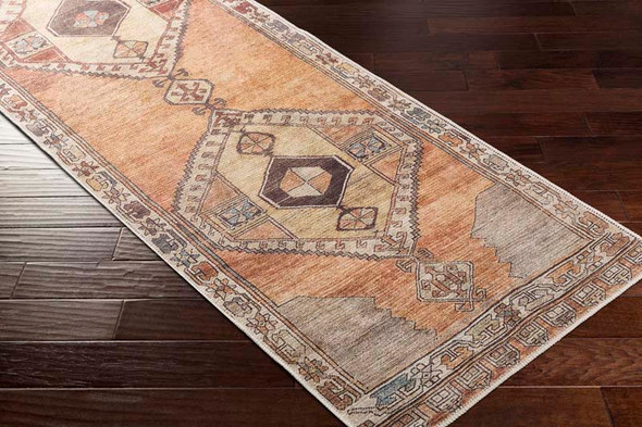 LivaBliss Antiquity AUY-2303 Rug