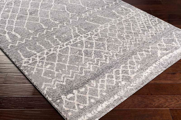 Livabliss Andorra ARD-2304 Rug