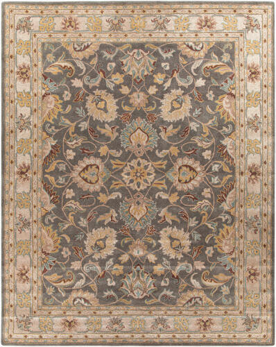Caesar CAE-1005 Charcoal Beige Rug by Livabliss