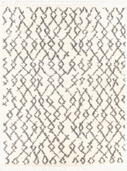Livabliss Berber Shag BBE-2301 Rug
