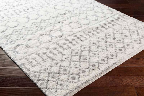 LivaBliss Aliyah shag ALH-2302 Rug