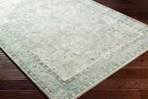 Livabliss Erin ERN-2309 Rug