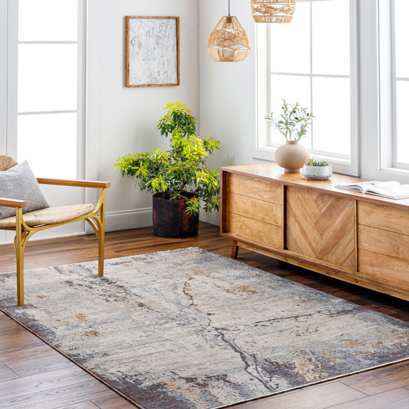 Livabliss Aida AAD-2302 Rug