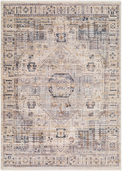 Livabliss Aida AAD-2307 Rug