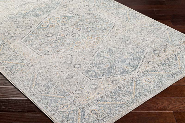LivaBliss Alpharetta APH-2313 Rug