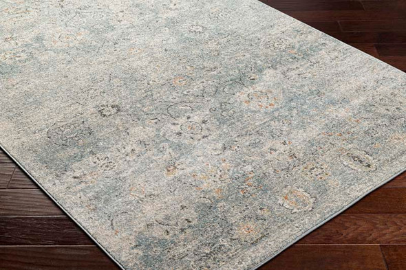 Livabliss Alpharetta APH-2319 Rug