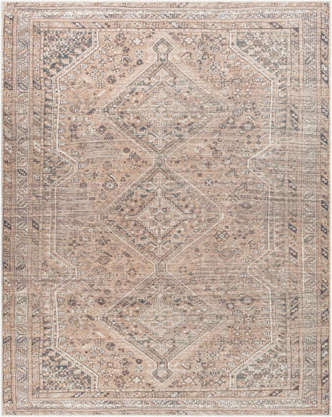 LivaBliss Amelie AML-2384 Rug