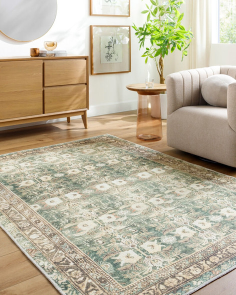 Livabliss Amelie AML-2396 Rug