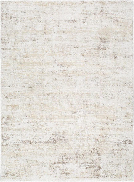 Livabliss Andorra Plus ARP-2305 Rug