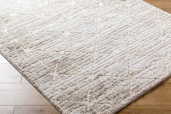LivaBliss Andorra Plus ARP-2306 Rug