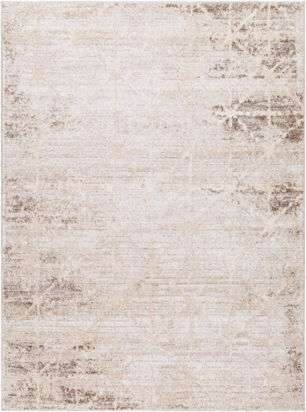 LivaBliss Andorra Plus ARP-2306 Rug