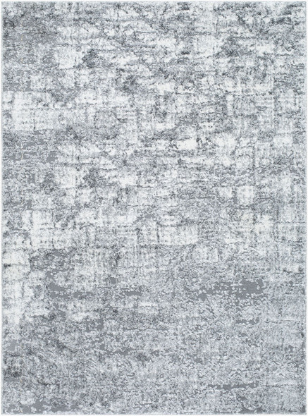 Livabliss Andorra Plus ARP-2308 Rug