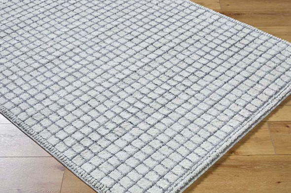 LivaBliss Andorra Plus ARP-2309 Rug