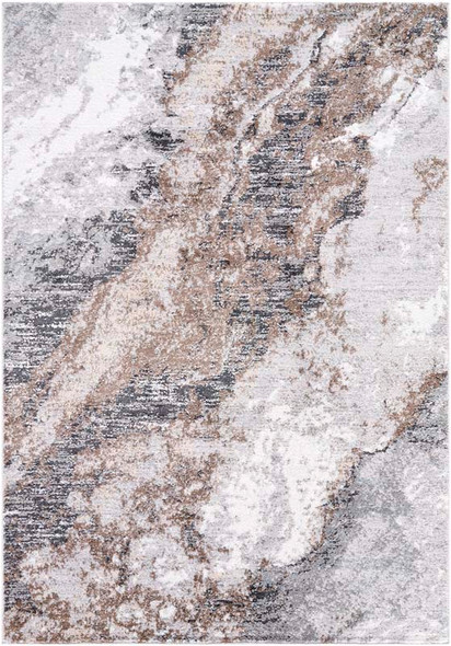 LivaBliss Andorra Plus ARP-2317 Rug