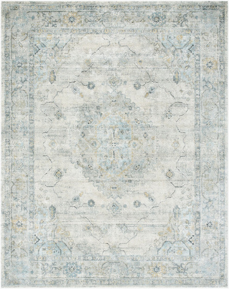 Livabliss Avellino AVL-2314 Rug