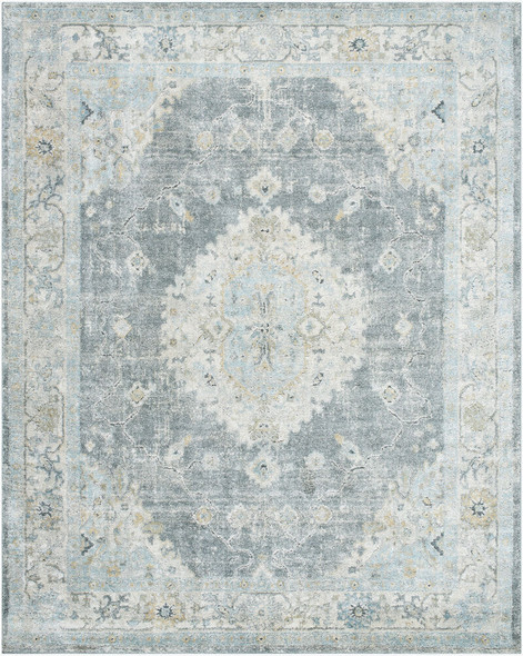 Livabliss Avellino AVL-2315 Rug