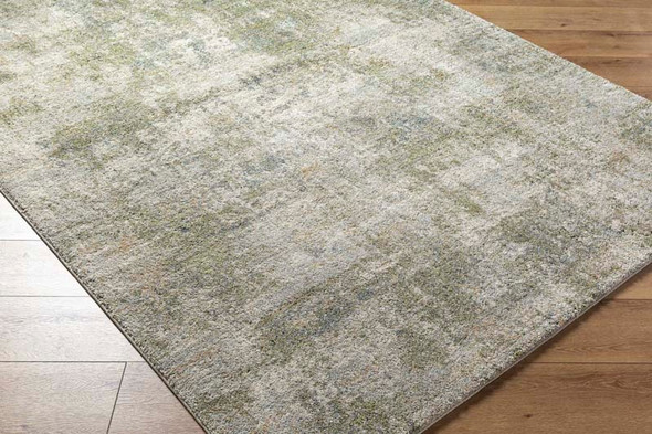 Livabliss Avellino AVL-2336 Rug