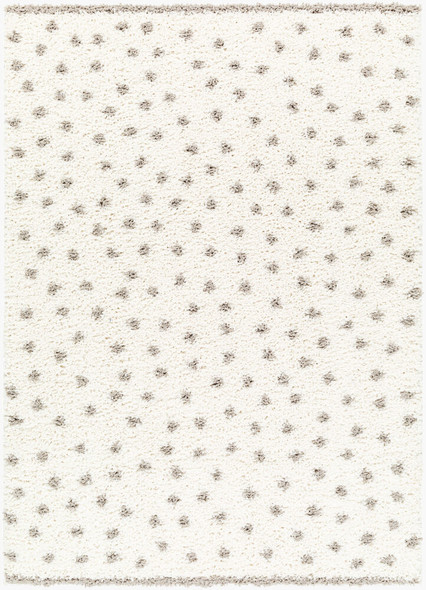 Livabliss Birmingham BMM-2302 Rug