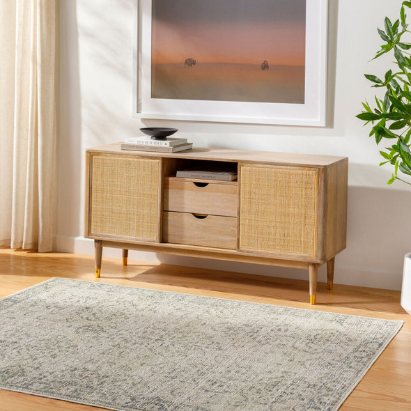 Livabliss Calhoun CAH-2305 Rug