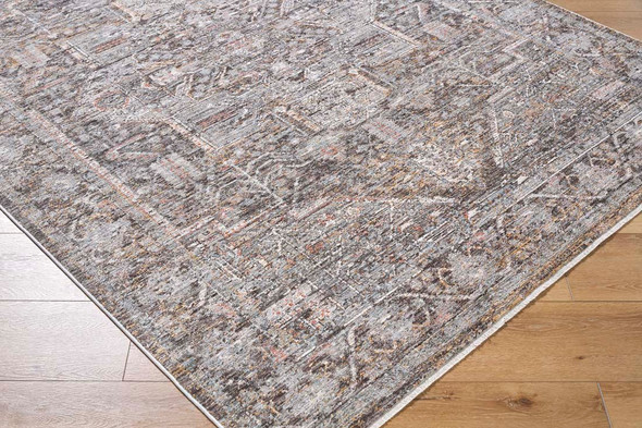 LivaBliss Chapel Hill CHP-2301 Rug