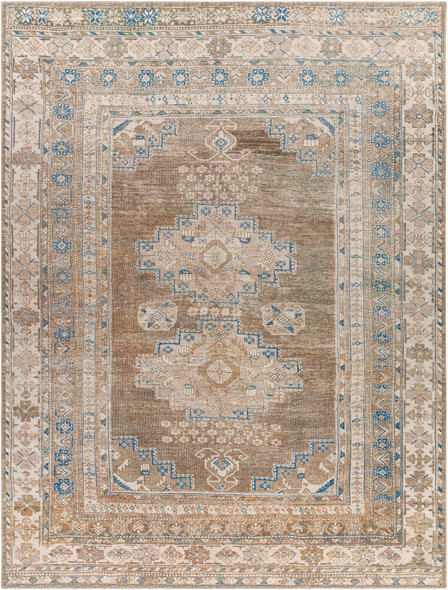 Livabliss Colin CLN-2303 Rug