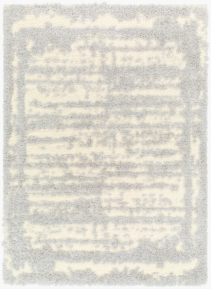 Livabliss Everton Plus EVP-2316 Rug