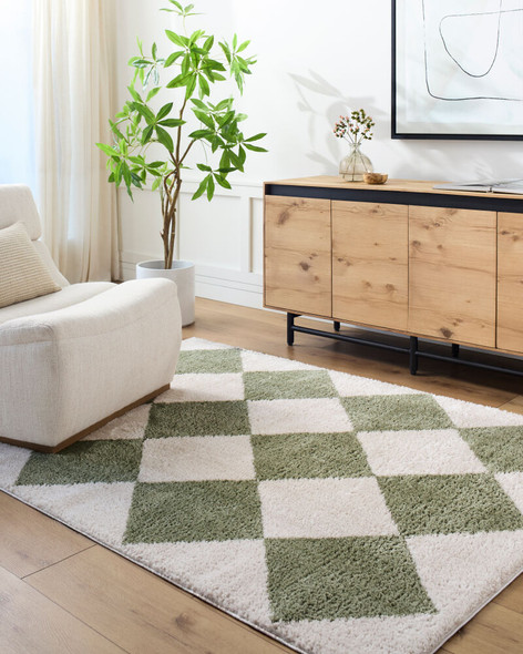 LivaBliss Fossay Shag FSG-2325 Rug