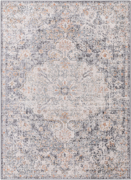 Livabliss Harput HAP-1164 Rug
