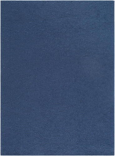 Livabliss Lush Shag LSH-2304 Rug