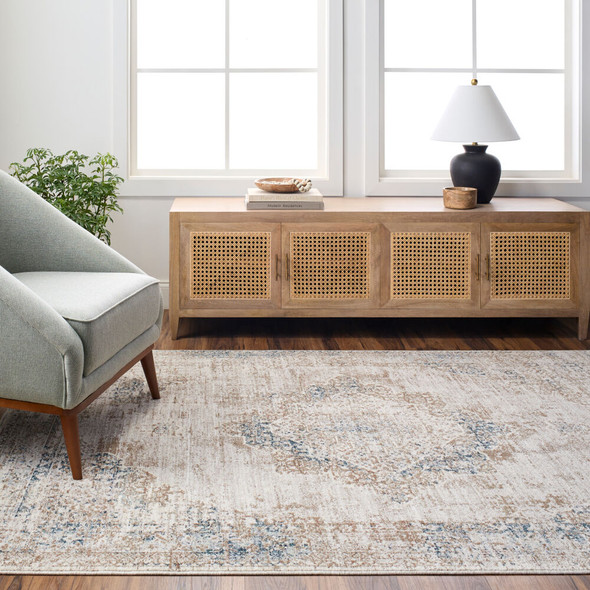Livabliss Montreal MTR-2305 Rug