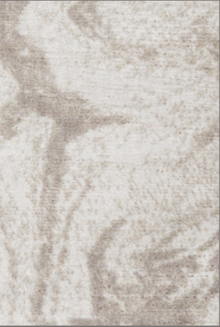 Livabliss Pisa PSS-2390 Rug